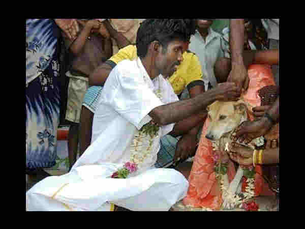సోషల్ మీడియాలో చూడముచ్చటైన చిత్రాలు