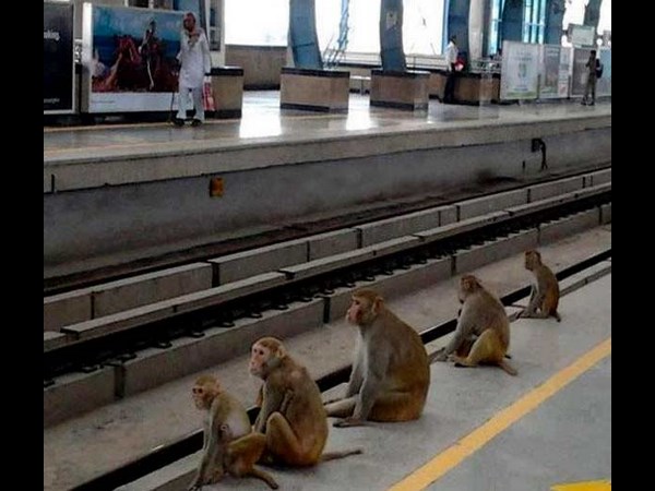 సోషల్ మీడియాలో చూడముచ్చటైన చిత్రాలు