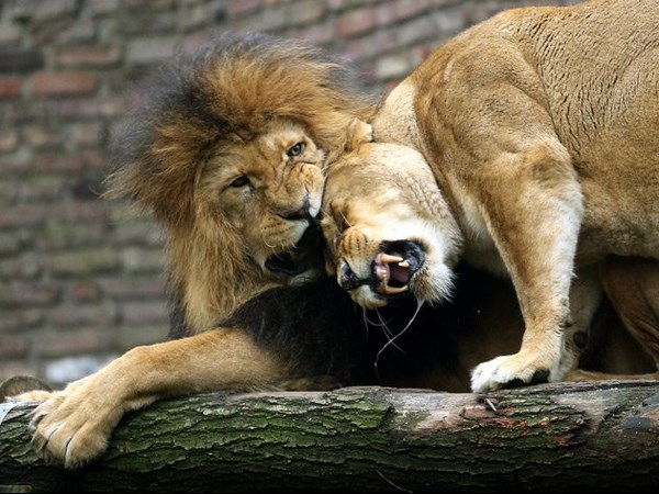 సోషల్ మీడియాలో చూడముచ్చటైన చిత్రాలు