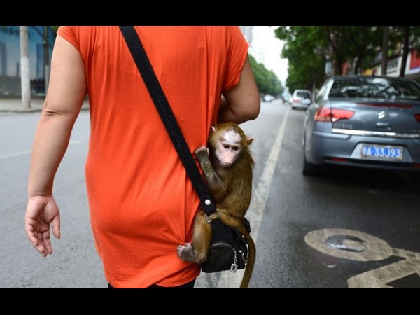 సోషల్ మీడియాలో చూడముచ్చటైన చిత్రాలు