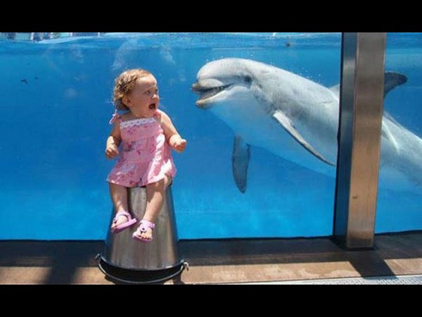 సోషల్ మీడియాలో చూడముచ్చటైన చిత్రాలు