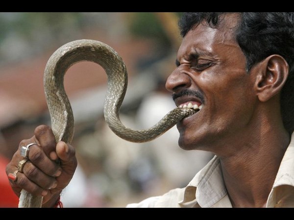 సోషల్ మీడియాలో చూడముచ్చటైన చిత్రాలు