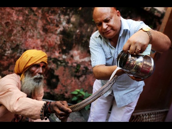 సోషల్ మీడియాలో చూడముచ్చటైన చిత్రాలు