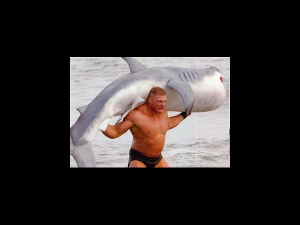 సోషల్ మీడియాలో చూడముచ్చటైన చిత్రాలు