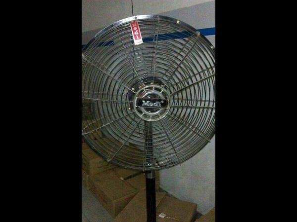 సోషల్ మీడియాలో చూడముచ్చటైన చిత్రాలు