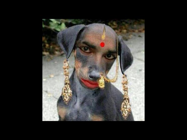 సోషల్ మీడియాలో చూడముచ్చటైన చిత్రాలు