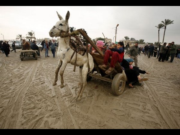 సోషల్ మీడియాలో సరదా చిత్రాలు