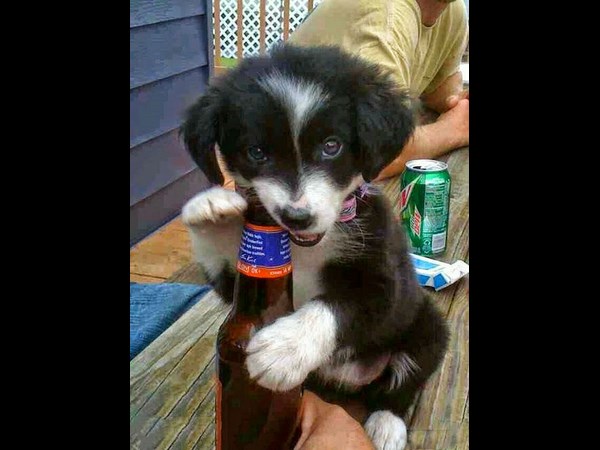 సోషల్ మీడియాలో క్రేజీ ఫోటోల కిక్!