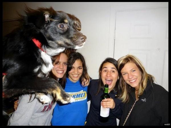  బెస్ట్ ఫోటో బాంబింగ్ ఫోటోలు