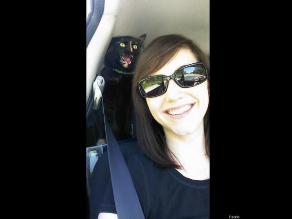 బెస్ట్ ఫోటో బాంబింగ్ ఫోటోలు