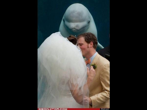 బెస్ట్ ఫోటో బాంబింగ్ ఫోటోలు