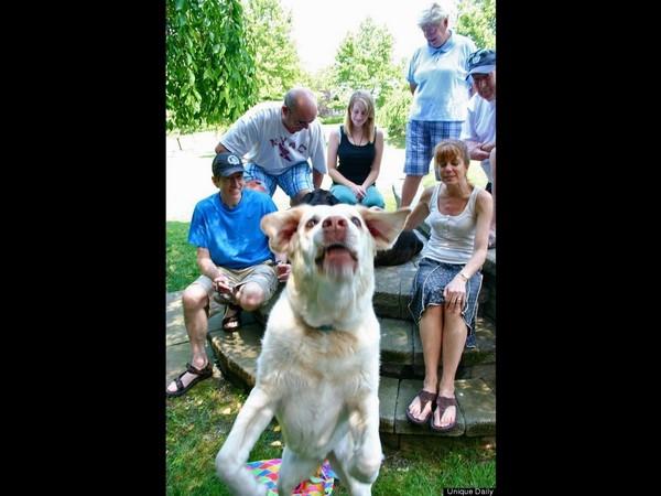 బెస్ట్ ఫోటో బాంబింగ్ ఫోటోలు