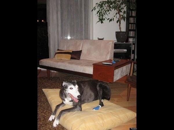 బెస్ట్ ఫోటో బాంబింగ్ ఫోటోలు