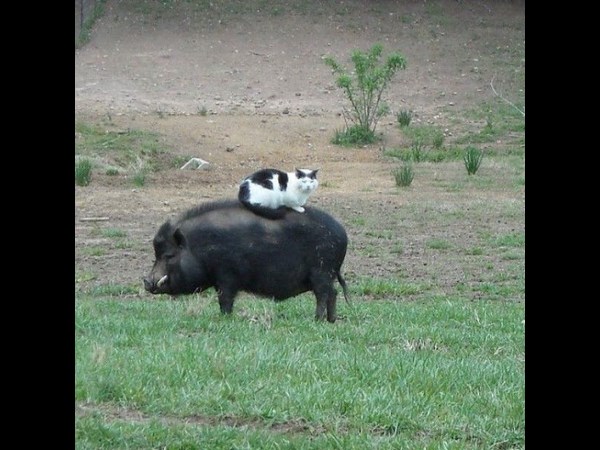 సోషల్ మీడియాలో ఆ మిస్టరీ ఫోటోలు!