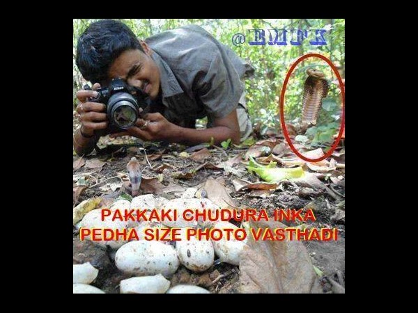ఇంటర్నెట్లో తమాషా చిత్రాలు