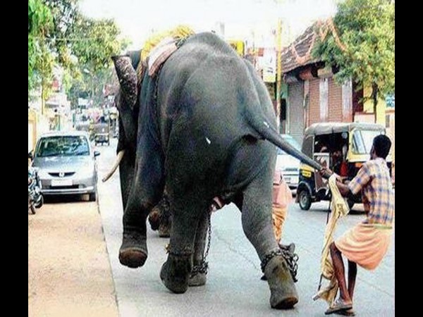 ఫన్నీ సోషల్ మీడియా