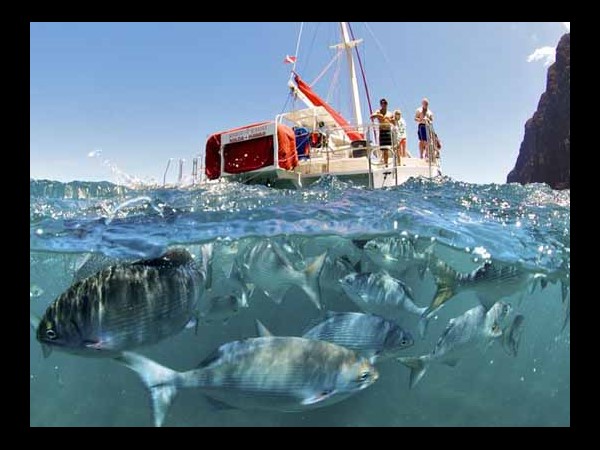 సోషల్ మీడియా సంచలనాత్మక దృశ్యాలు!