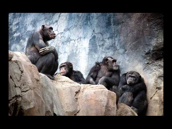 సోషల్ మీడియా సంచలనాత్మక దృశ్యాలు!