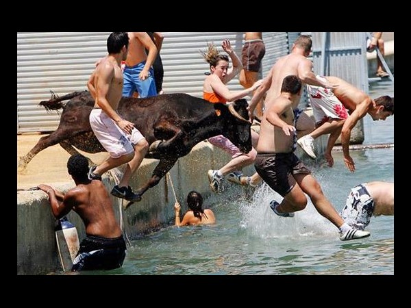 సోషల్ మీడియా సంచలనాత్మక దృశ్యాలు!