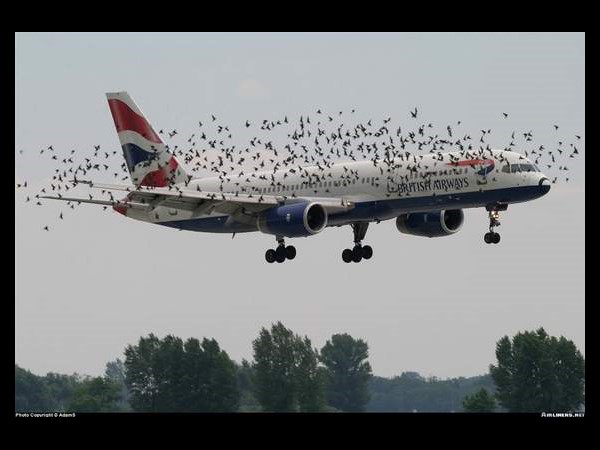 సోషల్ మీడియా సంచలనాత్మక దృశ్యాలు!