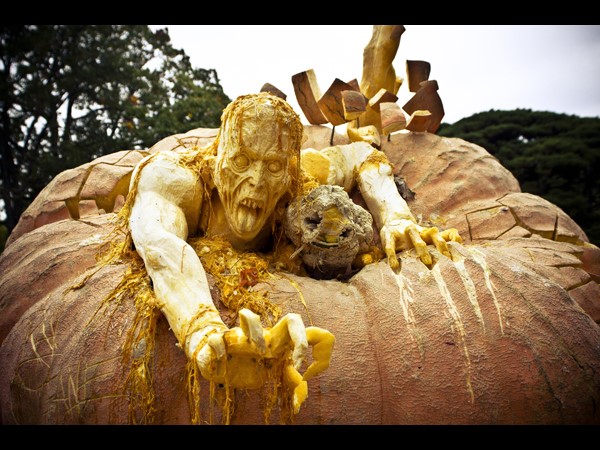 సోషల్ మీడియా సంచలనాత్మక దృశ్యాలు!