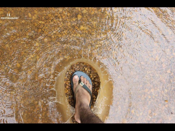 ఆకట్టుకుంటున్న సోషల్ మీడియా ఫన్నీ ఫోటోలు