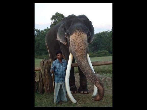 ఆకట్టుకుంటున్న సోషల్ మీడియా ఫన్నీ ఫోటోలు