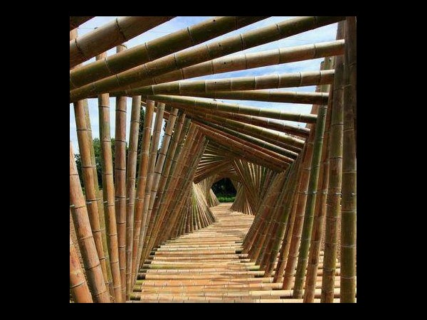 ఆకట్టుకుంటున్న సోషల్ మీడియా ఫన్నీ ఫోటోలు