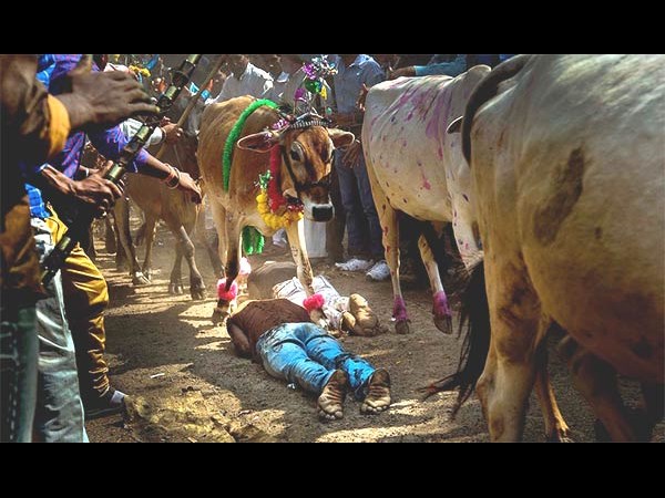 ఇంటర్నెట్‌లో క్రేజీ సోషల్ మీడియా ఫోటోలు