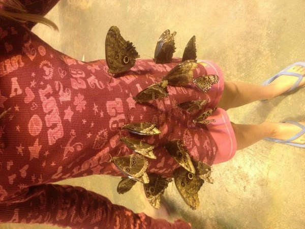 ఇంటర్నెట్‌లో క్రేజీ సోషల్ మీడియా ఫోటోలు