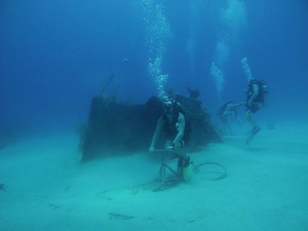 సోషల్ మీడియా వింత ప్రపంచానికి స్వాగతం!