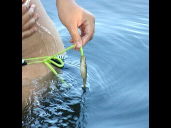 సోషల్ మీడియా వింత ప్రపంచానికి స్వాగతం!