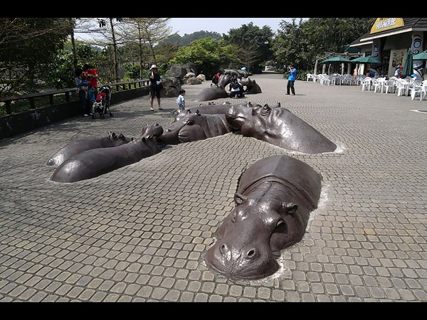 భావోద్వేగ ప్రపంచానికి స్వాగతం!