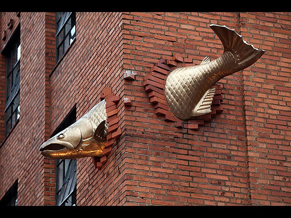 భావోద్వేగ ప్రపంచానికి స్వాగతం!