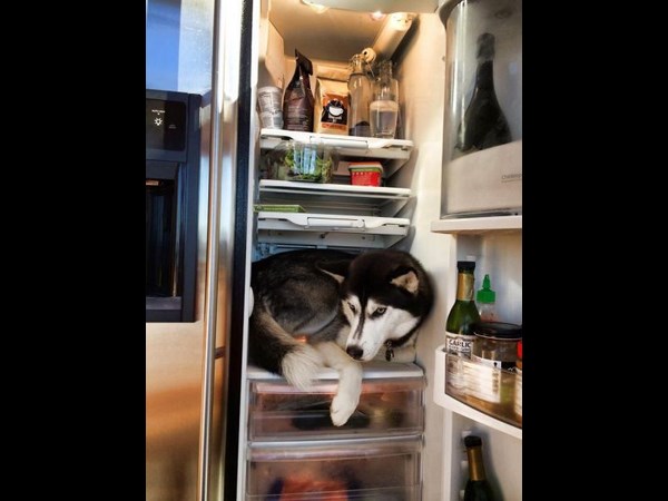 సోషల్ మీడియా వారాంతపు జోరు