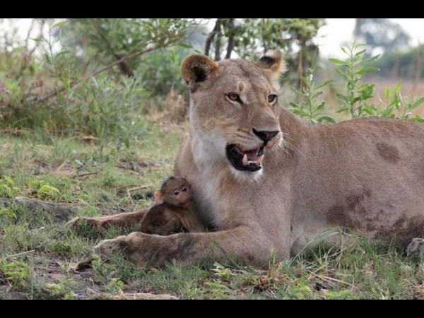సోషల్ మీడియా వారాంతపు జోరు