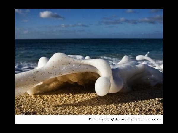 సోషల్ మీడియా కామెడీ ఫోటో కలెక్షన్