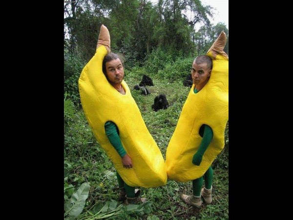 సోషల్ మీడియా కామెడీ ఫోటో కలెక్షన్