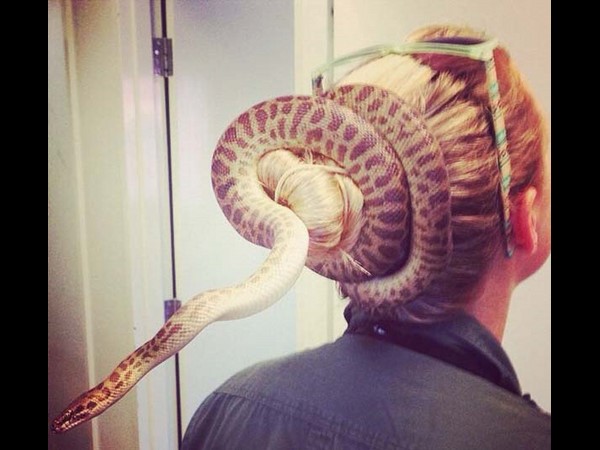 సోషల్ మీడియాలో అదో రకం చిత్రాలు