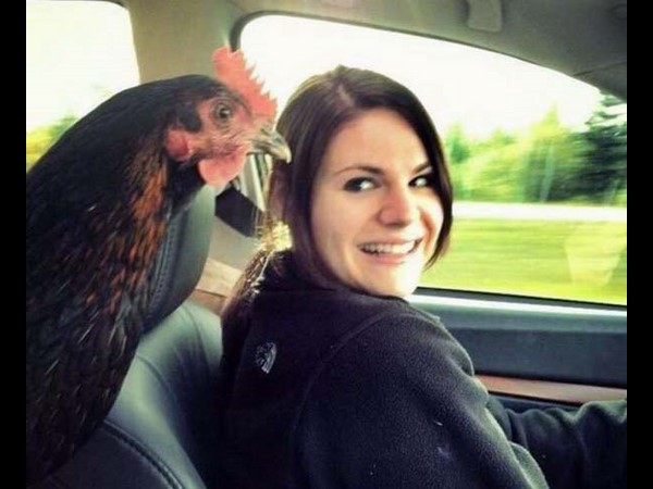 సోషల్ మీడియాలో అదో రకం చిత్రాలు