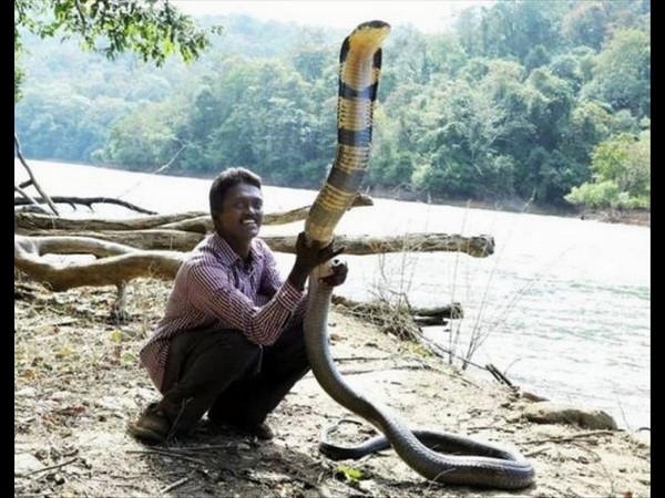 సోషల్ మీడియా థ్రిల్లింగ్ ఫోటోలు