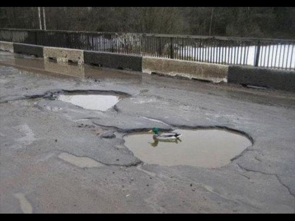 సోషల్ మీడియా థ్రిల్లింగ్ ఫోటోలు