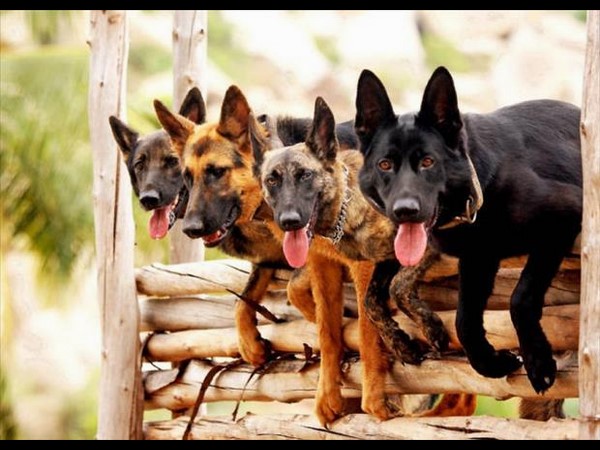 సోషల్ మీడియా థ్రిల్లింగ్ ఫోటోలు