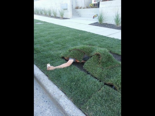 సోషల్ మీడియా థ్రిల్లింగ్ ఫోటోలు