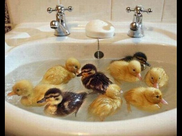 సోషల్ మీడియా థ్రిల్లింగ్ ఫోటోలు