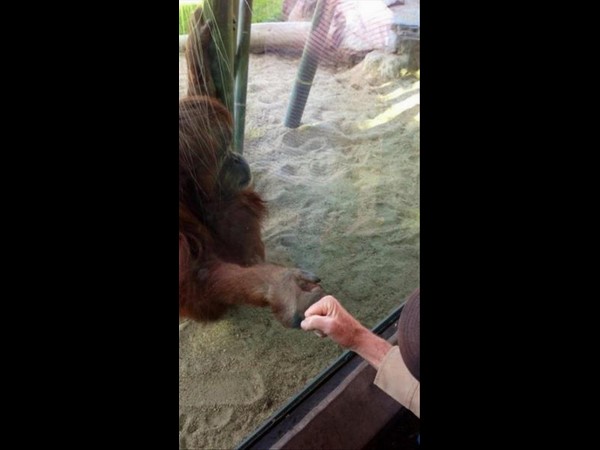 సోషల్ మీడియా థ్రిల్లింగ్ ఫోటోలు