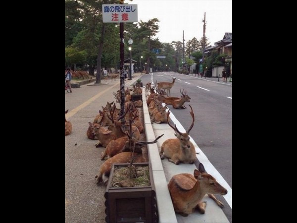 సోషల్ మీడియా థ్రిల్లింగ్ ఫోటోలు