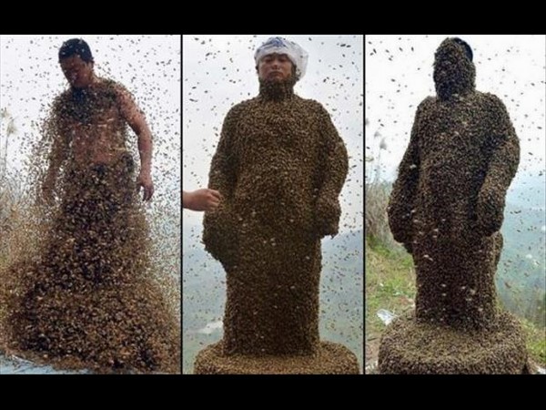 సోషల్ మీడియా థ్రిల్లింగ్ ఫోటోలు