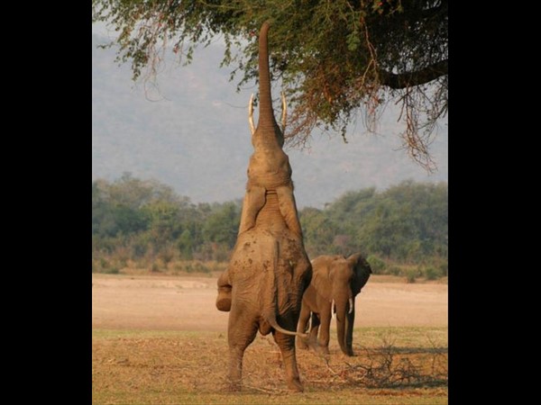 సోషల్ మీడియా థ్రిల్లింగ్ ఫోటోలు