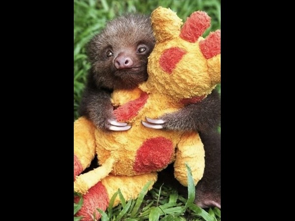 సోషల్ మీడియా థ్రిల్లింగ్ ఫోటోలు